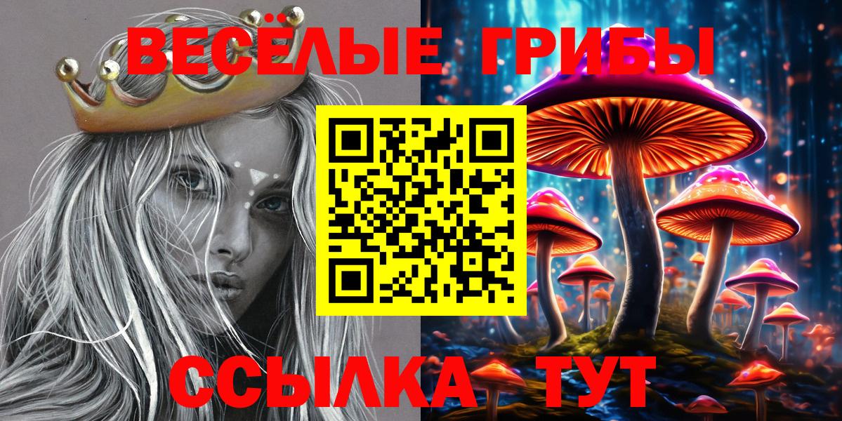 Псилоцибиновые грибы GOLDEN TEACHER Заволжье